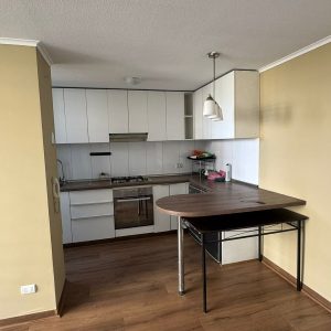 Departamento 2 dormitorios con estacionamiento y bodega – Condominio Arcadia full