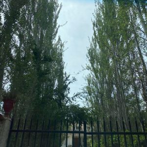 Arriendo parcela con casa, piscina y quincho para uso habitacional o comercial – Champa, Paine full