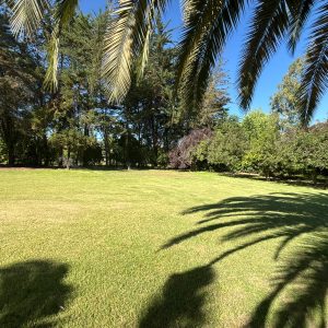 Exclusiva Propiedad en Condominio de alto Nivel – Calera de Tango full